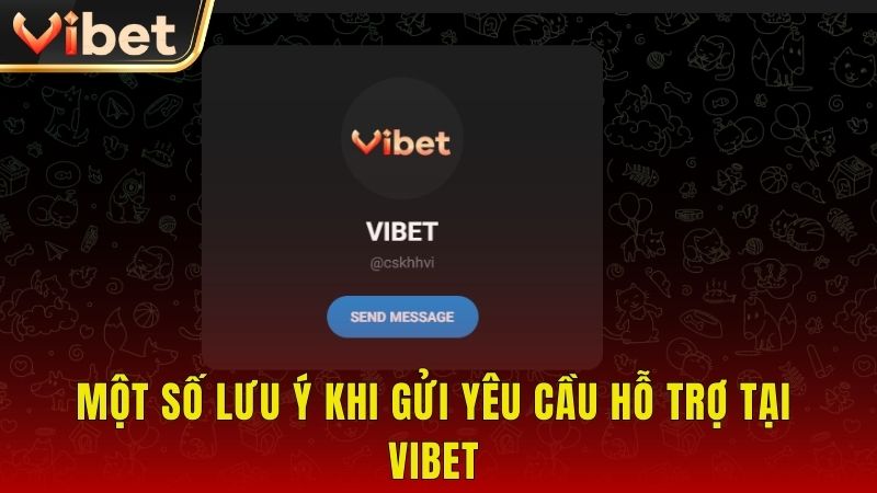 Một số lưu ý khi gửi yêu cầu hỗ trợ tại Vibet